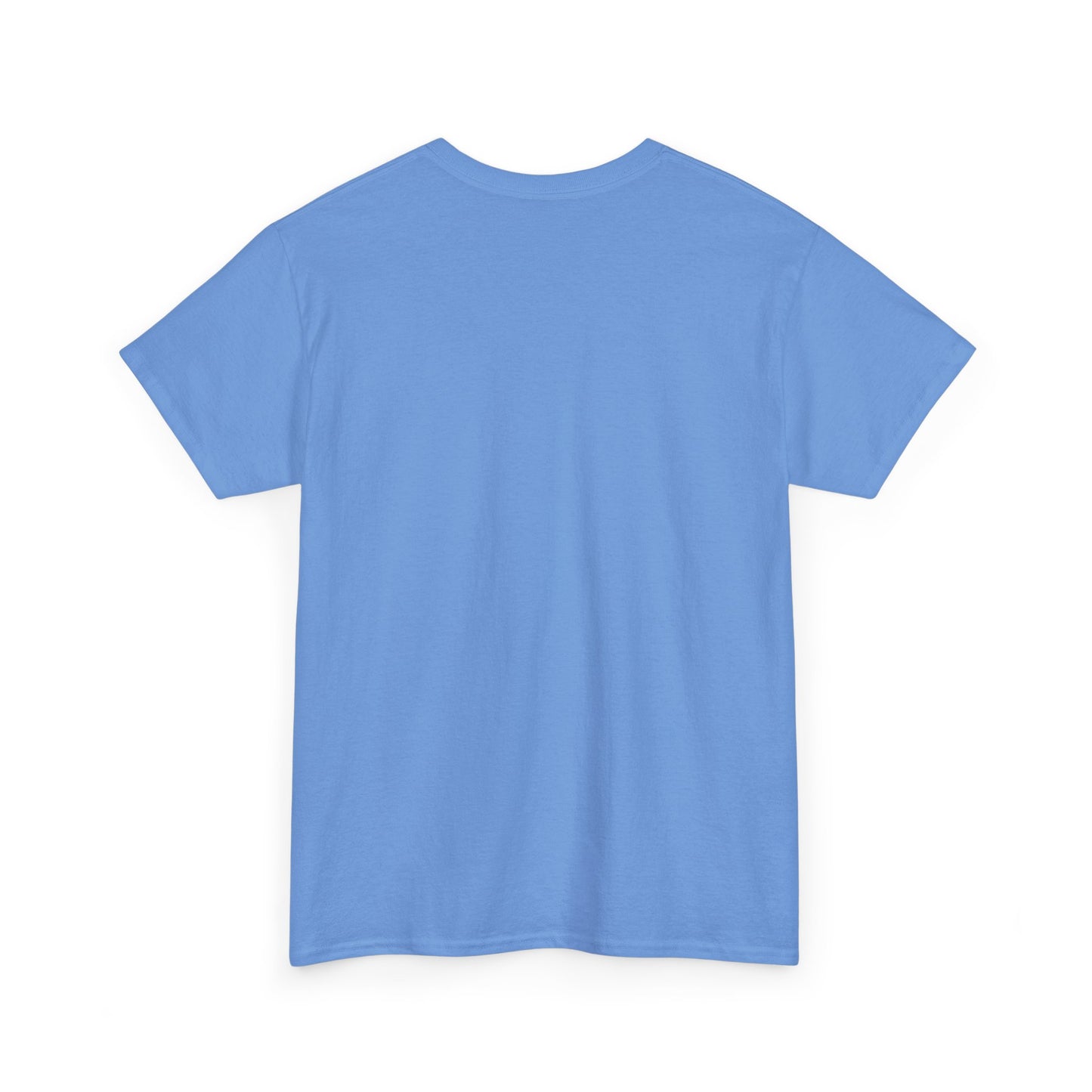 NEW! Tee Shirt with Lyrics 'There's none so blind as those who will not see'