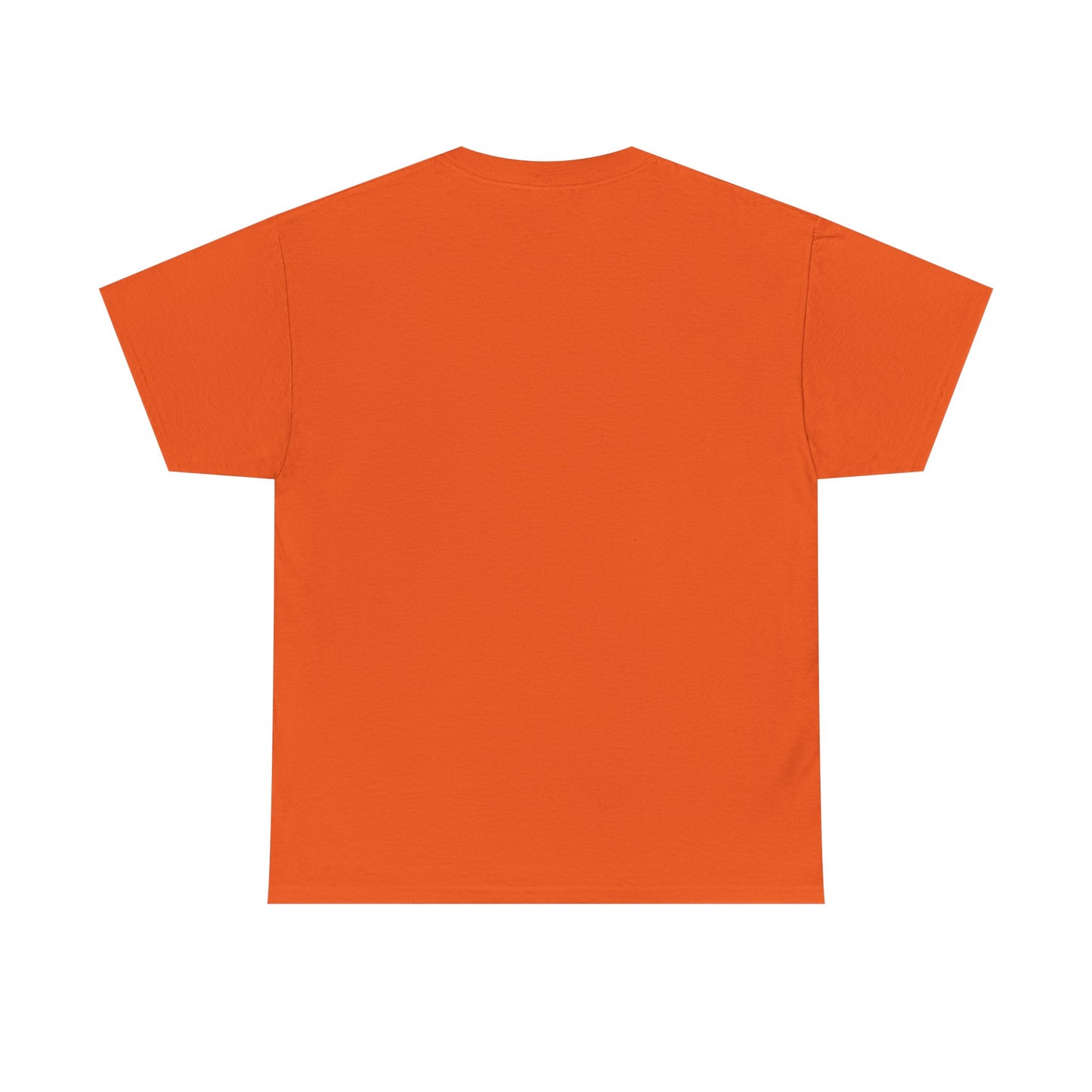 Take Me To Your Leader Roswell New Mexico Shirt - Fun & New 2025