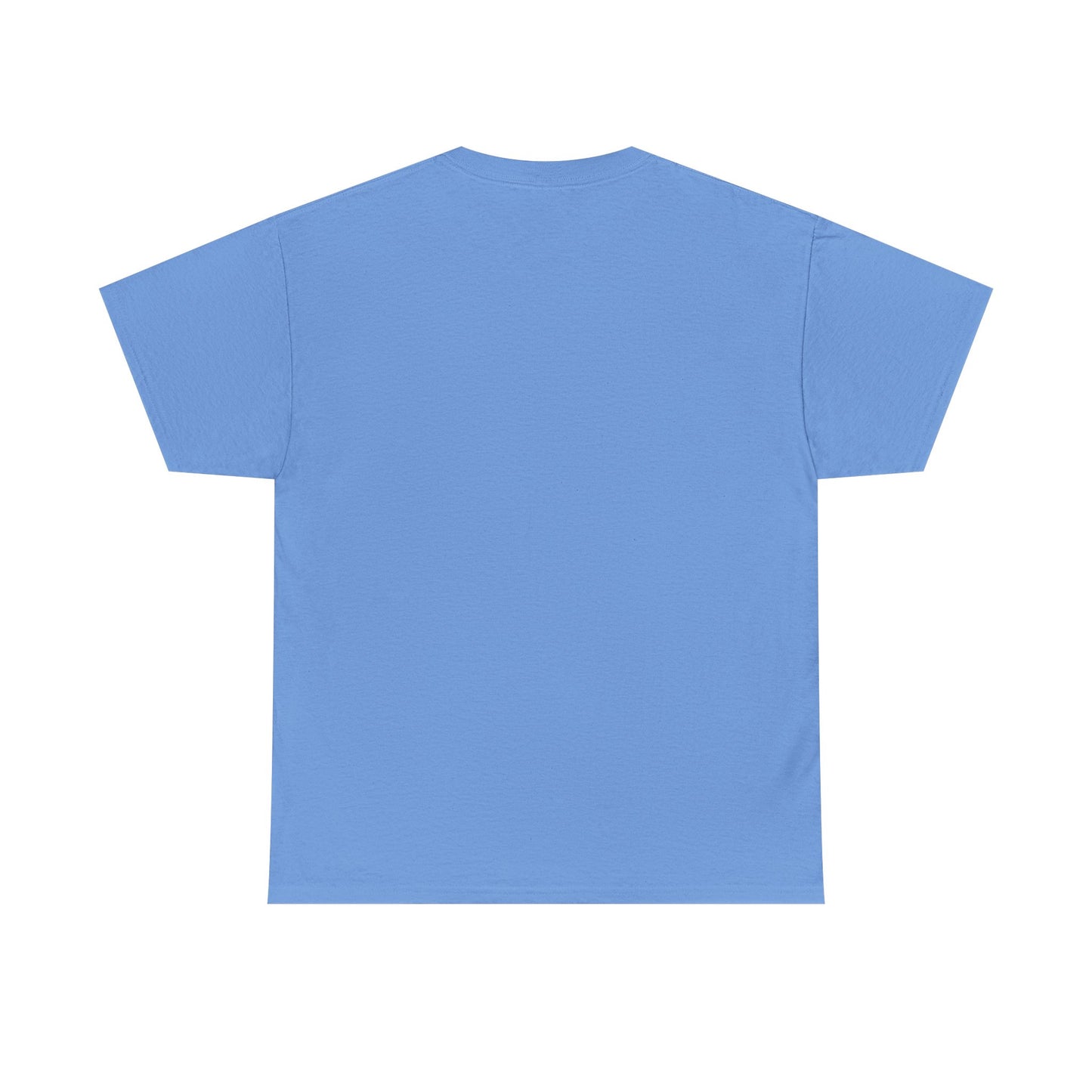 NEW! Tee Shirt with Lyrics 'There's none so blind as those who will not see'