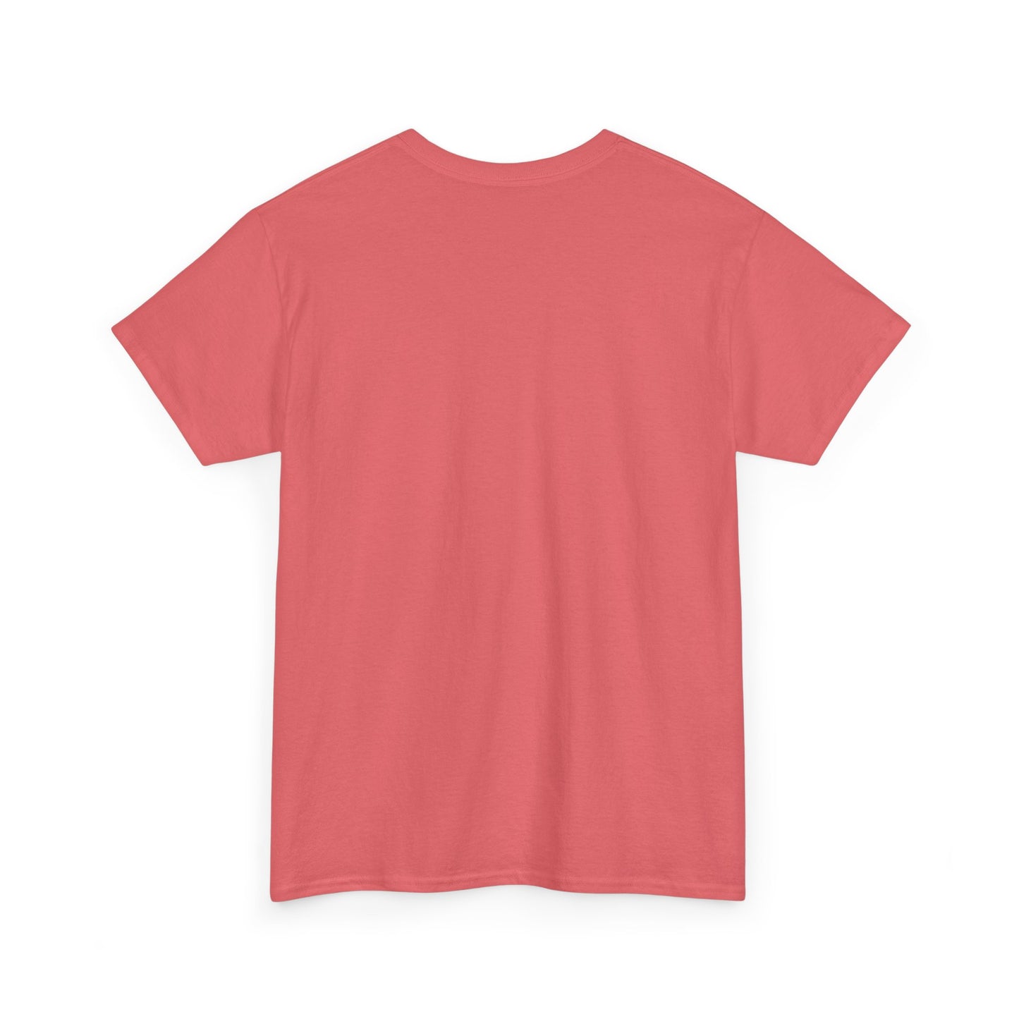 A Country Girl Can Survive Tee, Unisex Heavy Cotton - NEW 2025