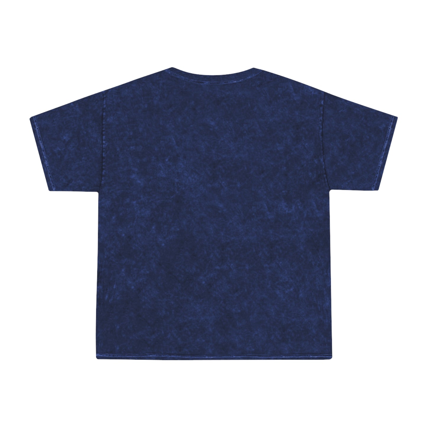 Alibier Unisex Mineral Wash T-Shirt