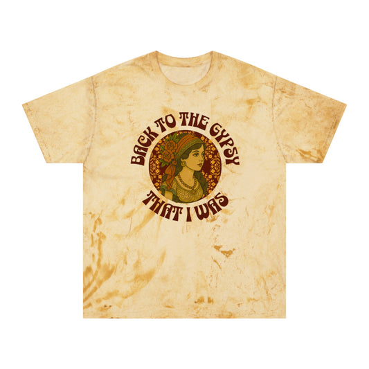 Color Blast V-Neck Lyrics Tee - Back To The Gypsy That I Was - New 2025
